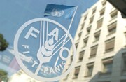 فائو نے ایران کو ٹڈی دل کا مقابلہ کرنے کے سامان کی فراہمی کی