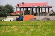 تهدید امنیت غذایی با تغییر کاربری زمینهای کشاورزی در خراسان رضوی