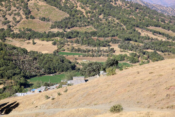 پوشش جنگلی روستاهای ناوه و نیزه‌رود