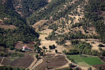 پوشش جنگلی روستاهای ناوه و نیزه‌رود