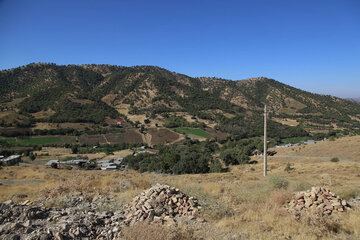 پوشش جنگلی روستاهای ناوه و نیزه‌رود