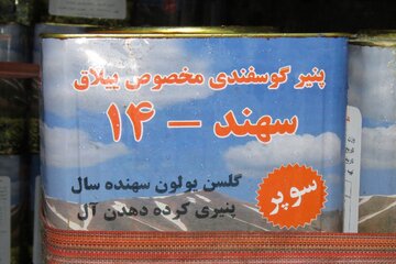 کارخانجات پنیر در روستای کرده ده مراغه