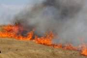 پنج هکتار از مراتع طبیعی ایلام در آتش سوخت 