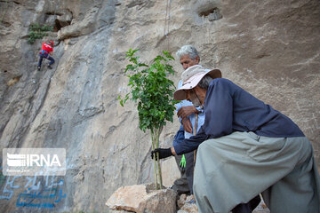 Rock Climbing