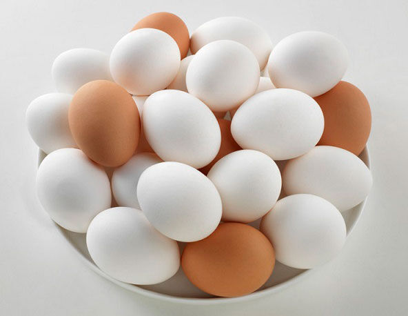 بیش از ۲۷۲۲ تن تخم‌مرغ از البرز به کشورهای همسایه صادر شد