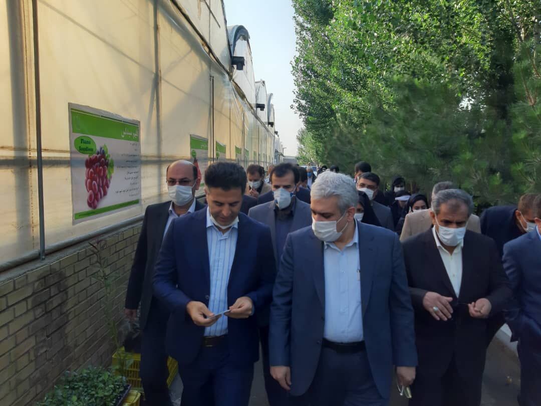 بازدید معاون رییس جمهوری از یک شرکت دانش بنیان قزوین بازدید معاون رییس جمهوری از یک شرکت دانش بنیان قزوین