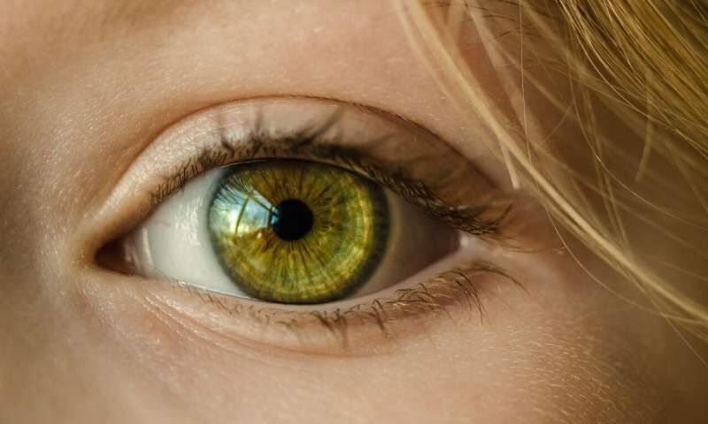 آیا حس بینایی و لامسه با هم مرتبط هستند؟