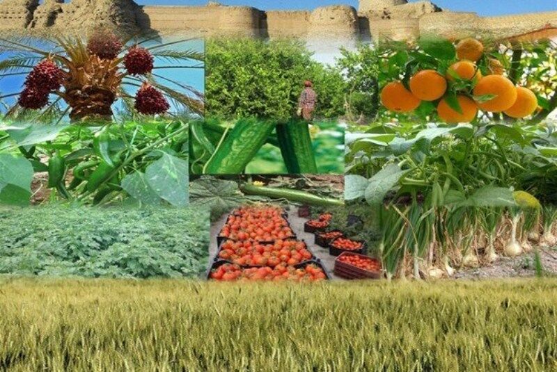 پرداخت ۱۳۵ میلیارد تومان تسهیلات بانکی به ۲۷۱ طرح درآمدزای دهیاری‌ها در سال ۹۸