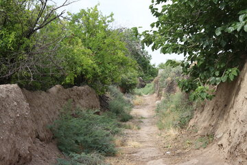 کوچه باغ تاریخی مهر