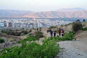 دراک کوهی برای شیراز