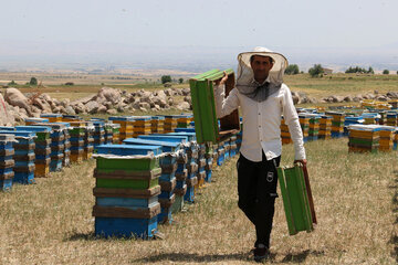 Iran: apiculture à Ardabil à l’ouest