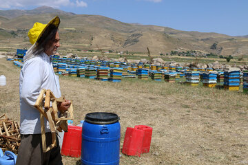 Iran: apiculture à Ardabil à l’ouest