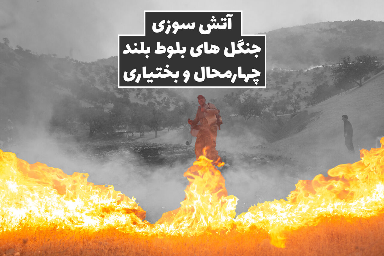 آتش سوزی جنگل های بلوط بلند چهارمحال و بختیاری
