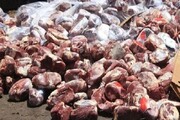 کشف ۲۷ تن گوشت غیر قابل مصرف با اجرای طرح تشدید نظارت‌ها در قزوین 