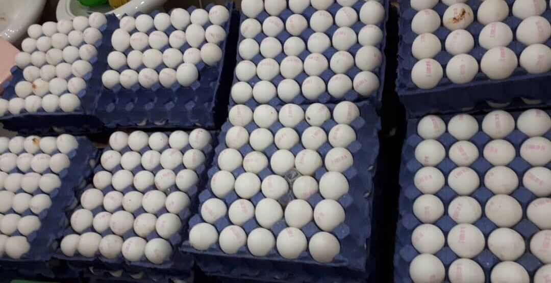 ۴۳ میلیون کیلوگرم تخم مرغ با نظارت دامپزشکی به عراق صادر شد