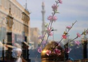 ۲۶ اثر در جشنواره «شمیم کرامت» در هرمزگان برگزیده شد