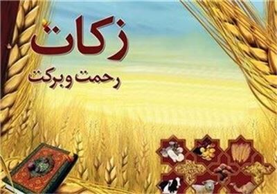 رشد 74 درصدی پرداخت زکات در قزوین