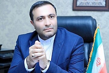 نماینده مجلس: باید روی نقاط اشتراک دولت و مجلس تاکید کنیم