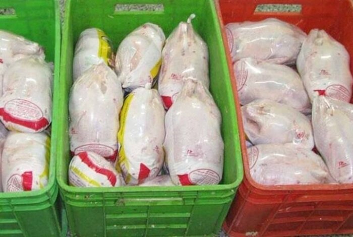 معاون وزیر صنعت: نگرانی بابت کاهش تولید مرغ نداریم