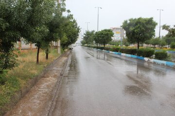  رگبار و تگرگ به  مزارع و باغات ۹ روستای زنجان خسارت وارد کرد