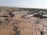 سیلاب به برخی روستاهای شاهوار شاهرود خسارت زد