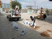 ۱۶۰۰ بسته گوشت مرغ  در میامی توزیع شد