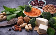 مصرف پروتئین‌های گیاهی طول عمر را افزایش می‌دهد