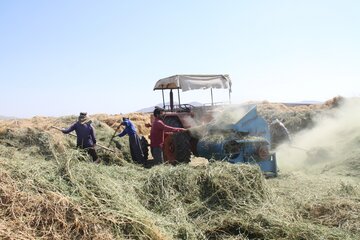 ۲ هزار و ۱۵۰ عضو جدید جذب صندوق بیمه روستاییان خراسان شمالی شد