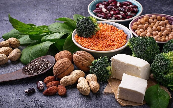پروتئین گیاهی یا حیوانی؛ برای مدیریت وزن چه بخوریم؟
