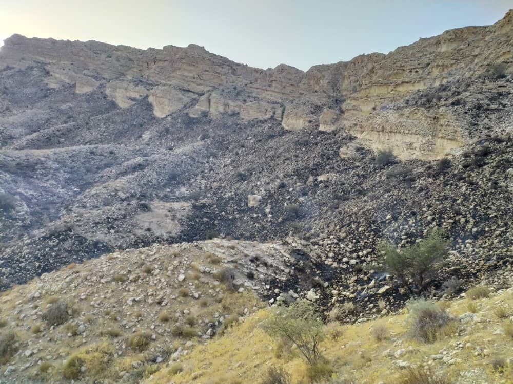 آتش سوزی در مراتع دشتی بوشهر مهار شد