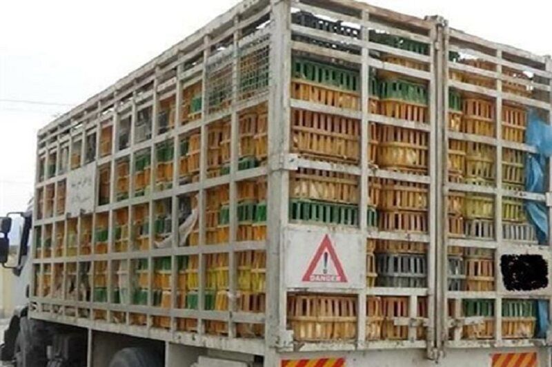 توقیف کامیون حامل مرغ زنده قاچاق در سلسله و اخبار انتظامی لرستان