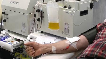 انتقال خون بر مدار خون رسانی و اهدای پلاسما در گرمای تابستان و دوران کرونا