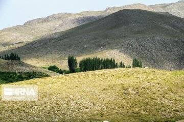 Beautiful scenery  of Lalehzar Bardsir City in southern Iran