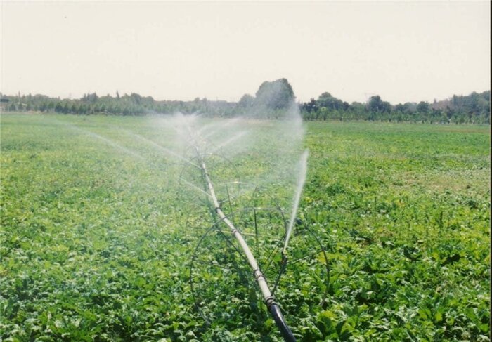 کاهش ۴۰درصدی آب مصرفی بخش کشاورزی حوضه دریاچه ارومیه