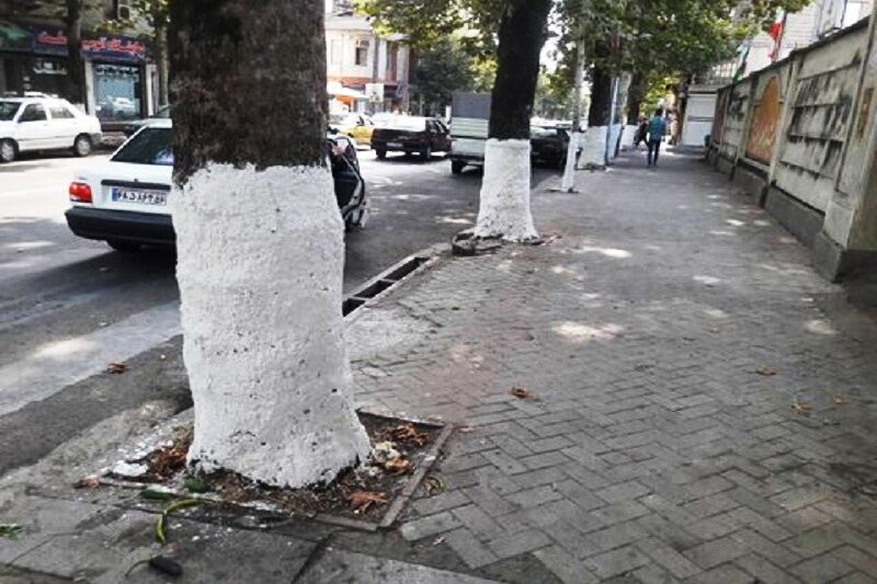زیباسازی معابر و اجرای طرح‌های ترافیکی در آستارا
