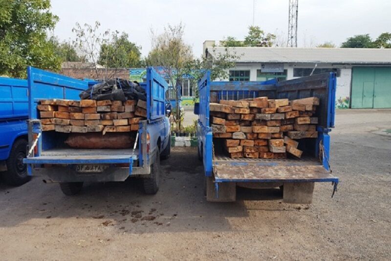 کشف بیش از ۸۰ اصله چوب‌آلات قاچاق جنگلی در اردبیل
