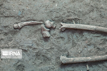 Parthian Empire woman skeleton discovered in Iran's Isfahan