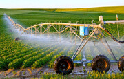 صرفه‌جویی ۴۰ درصدی آب کشاورزی در آذربایجان‌غربی محقق شد