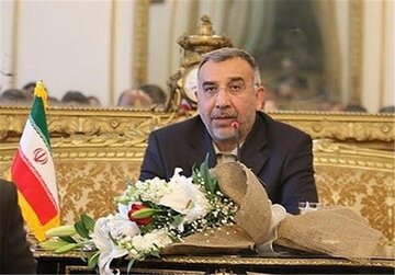 Iran supporting intra-Afghan peace talks, envoy says