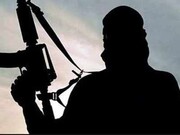 Daesh, al-Qaeda terrorists pose significant threat to South Asia