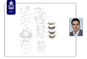 عضو هیات علمی دانشگاه بیرجند ۲ گونه جانوری جدید را کشف کرد