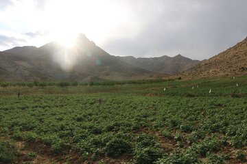 Beautiful scenery of Kakan in Yasouj City; Southwestern Iran