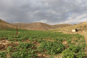 Beautiful scenery of Kakan in Yasouj City; Southwestern Iran
