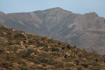 Beautiful scenery of Kakan in Yasouj City; Southwestern Iran