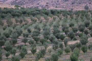 Beautiful scenery of Kakan in Yasouj City; Southwestern Iran