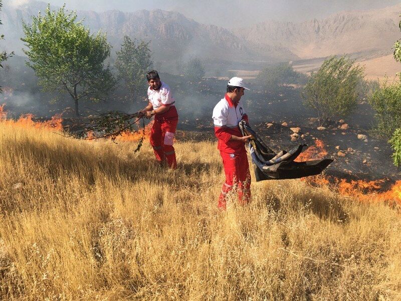 آتش‌سوزی جنگل‌های "گاچال" کوهدشت مهار شد