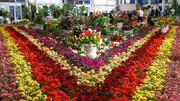 Blumen- und Pflanzenproduktion: Iran belegt weltweit den 17. Platz