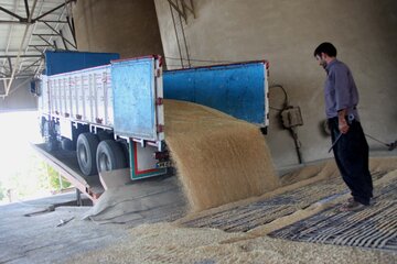 ۱۴ سیلو برای خرید گندم در آذربایجان‌غربی آماده شده است