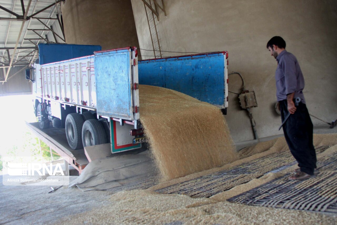 ۱۴ سیلو برای خرید گندم در آذربایجان‌غربی آماده شده است