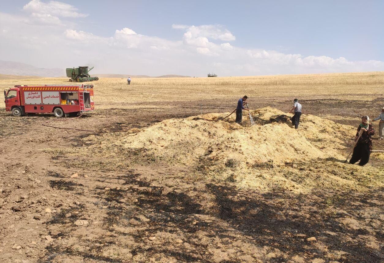 ۱۵ تُن کاه و یک هکتار گندم در بوکان طعمه حریق شد